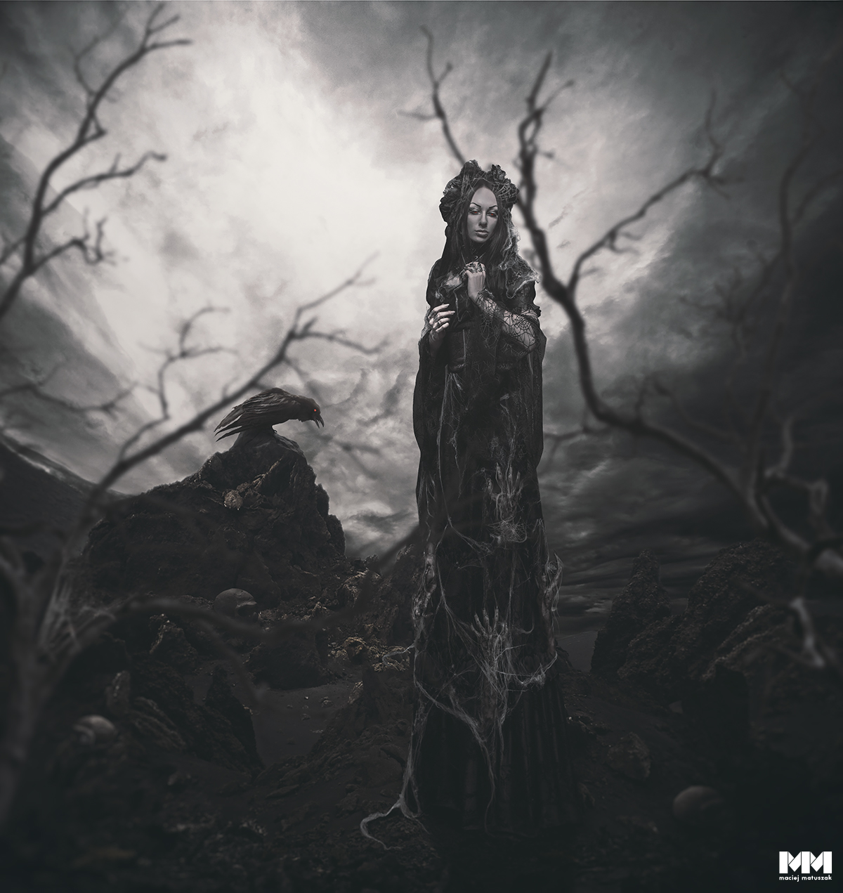 digitalart digital photomanipulation photomontages darkness dead lands Halloween nightmare crow Tree  dark
