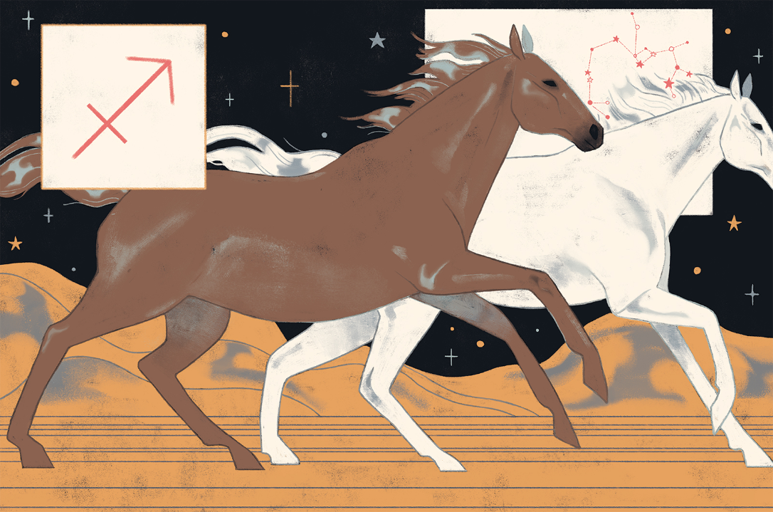 zodiac Horoscope star sign sagittarius pisces Gemini taurus animal wildlife capricorn