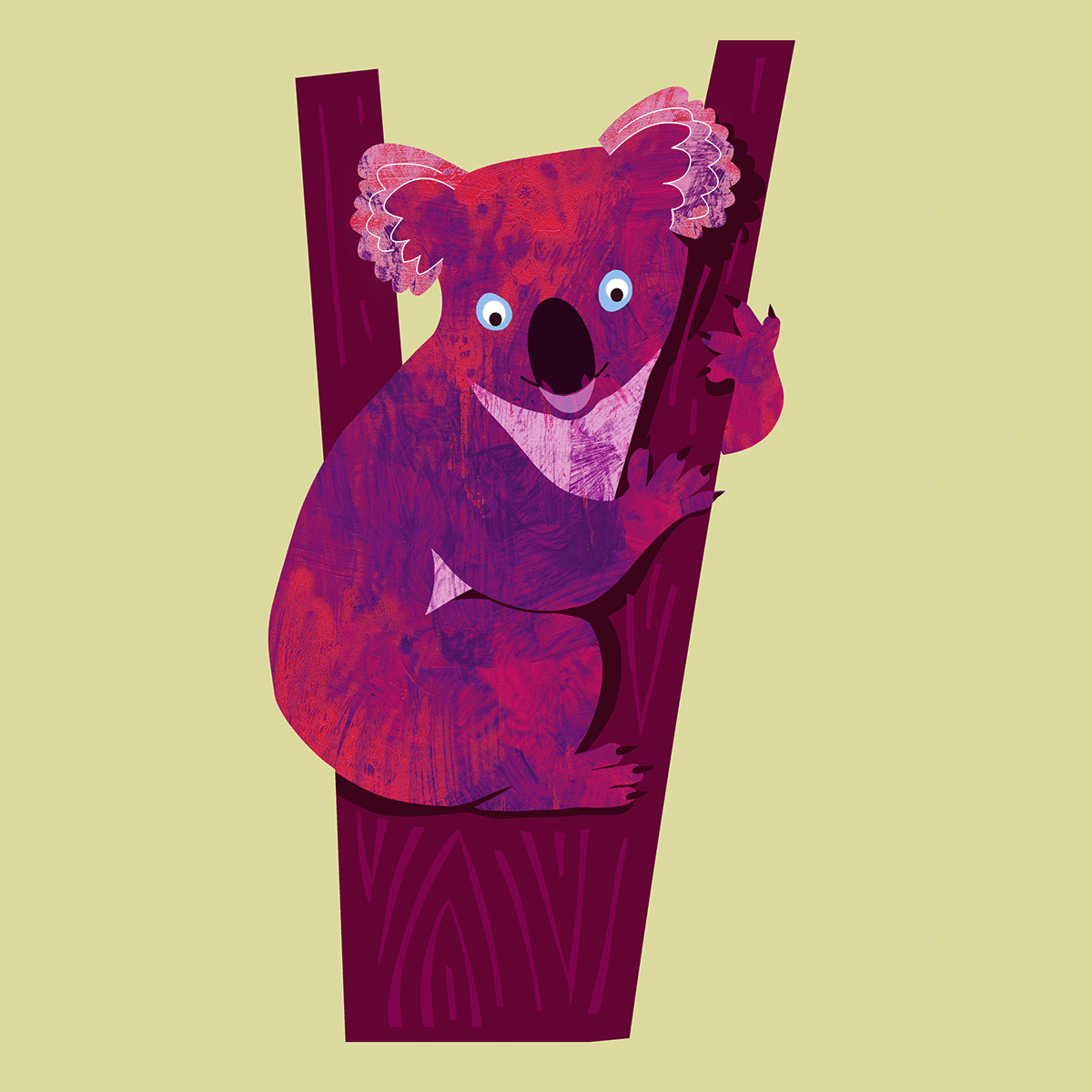 animal animal illustration Australia cute Digital Art  ILLUSTRATION  koala koala bear marsupial wildlife