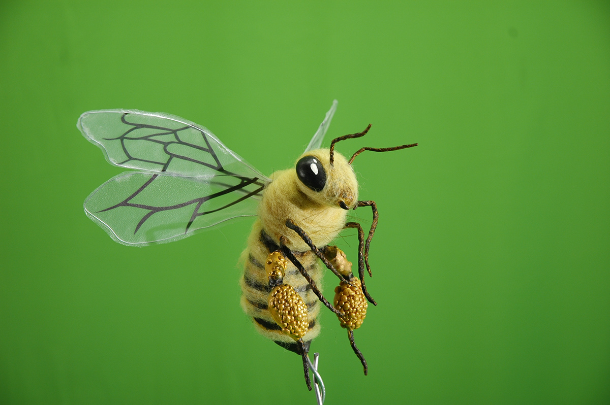 dragonframe stop motion bee ladybug 3D illustration motion media