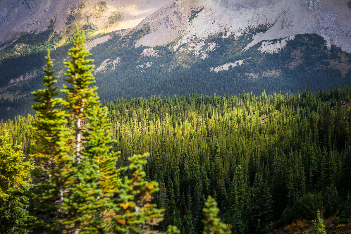 Landscape Photography  Canada Canon mood world Nature peace colour Rocky Mountains