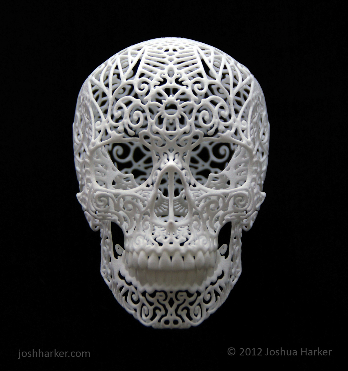 skull 3d printing 3D cad digital sculpture Kickstarter wings anatomica di revolutis