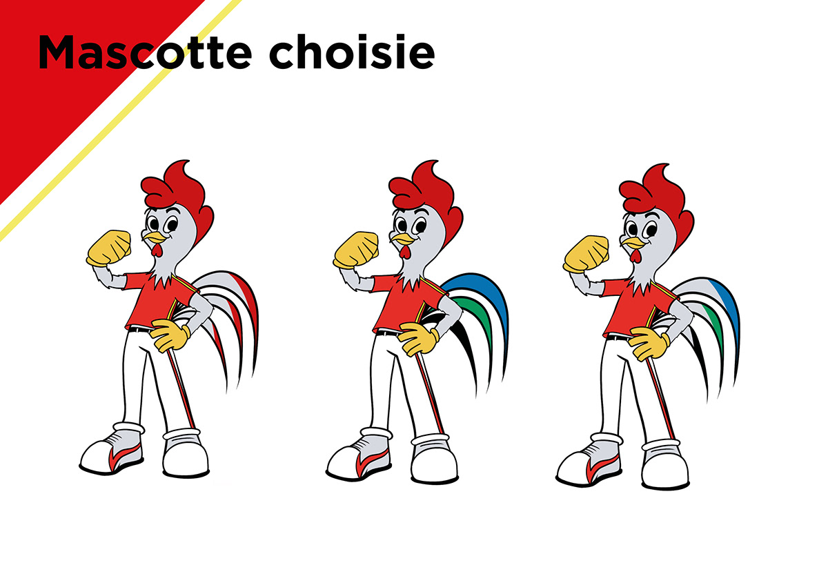 Character design  graphisme ILLUSTRATION  mascotte occitanie pentathlon