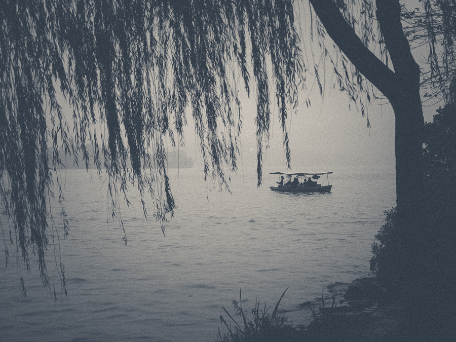 Travel china Hangzhou west lake Nature Park trees black and white b&w