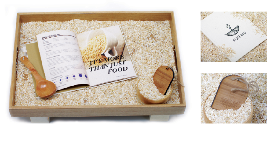 2012 THESIS RICELAND Packaging