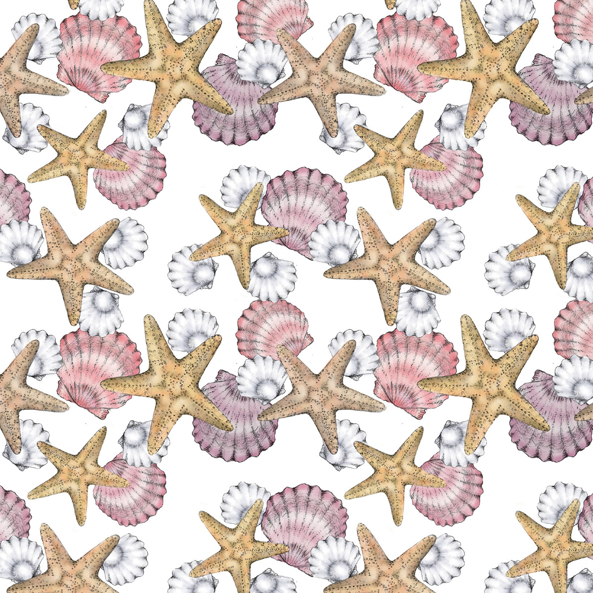 sea shells Shells oysters starfish pattern kitchen wear