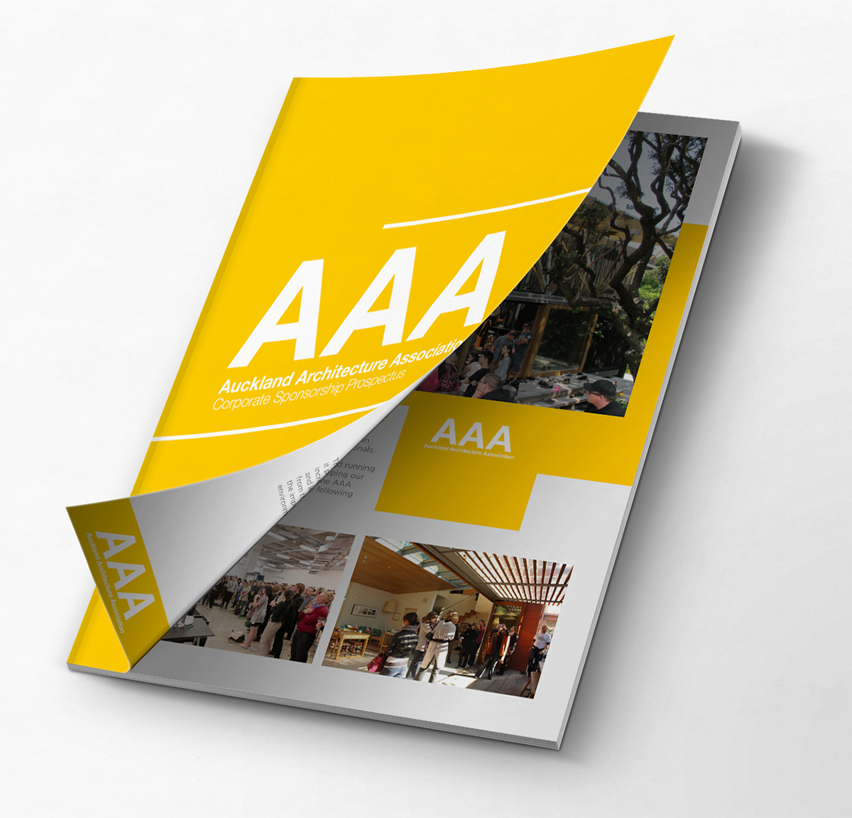yellow  ARCHITECTURE DESIGN AAA lines type information design