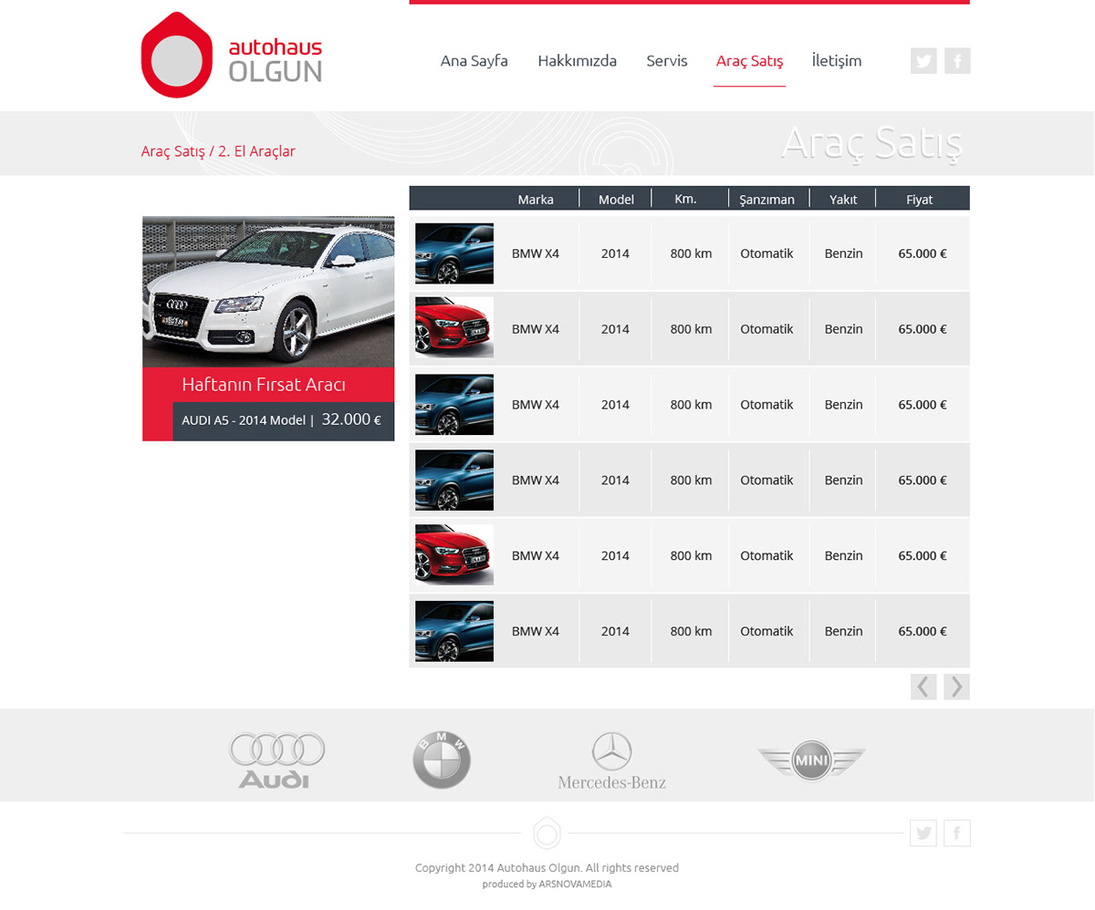 autohaus CI Auto Repair germany arsnovamedia.com izmir logo interface design UI