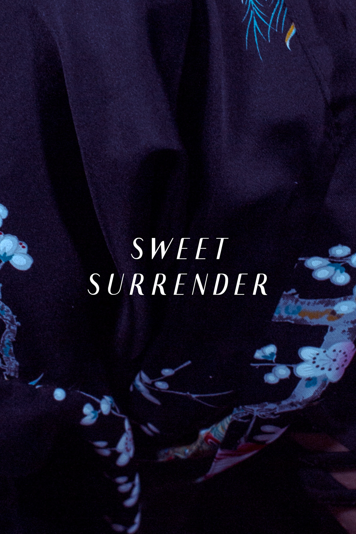 Sweet Surrender motel portrait editorial dark styling  model clothes metallic leather Fur