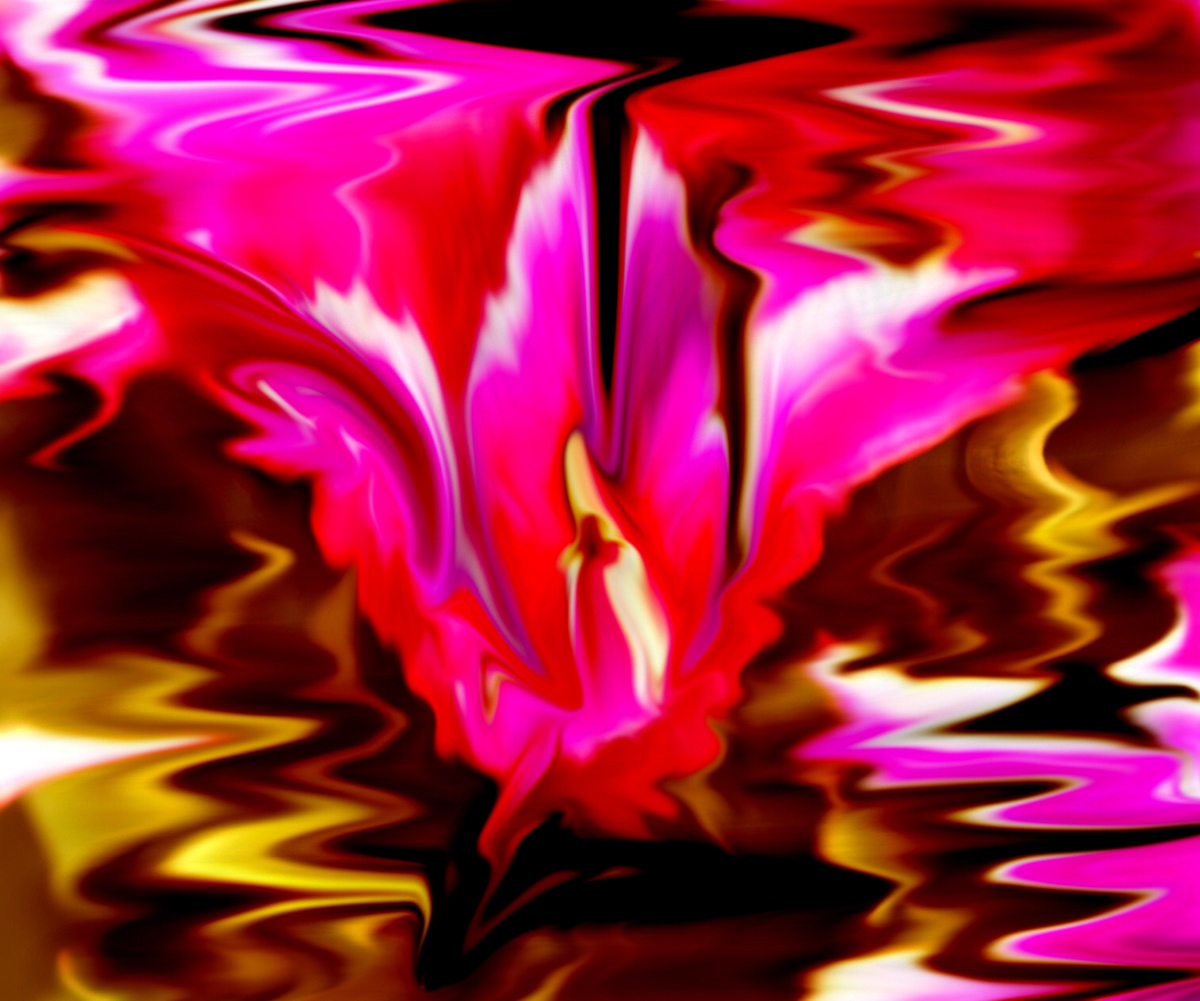 tulip flower ipadart digital nlaingdesign