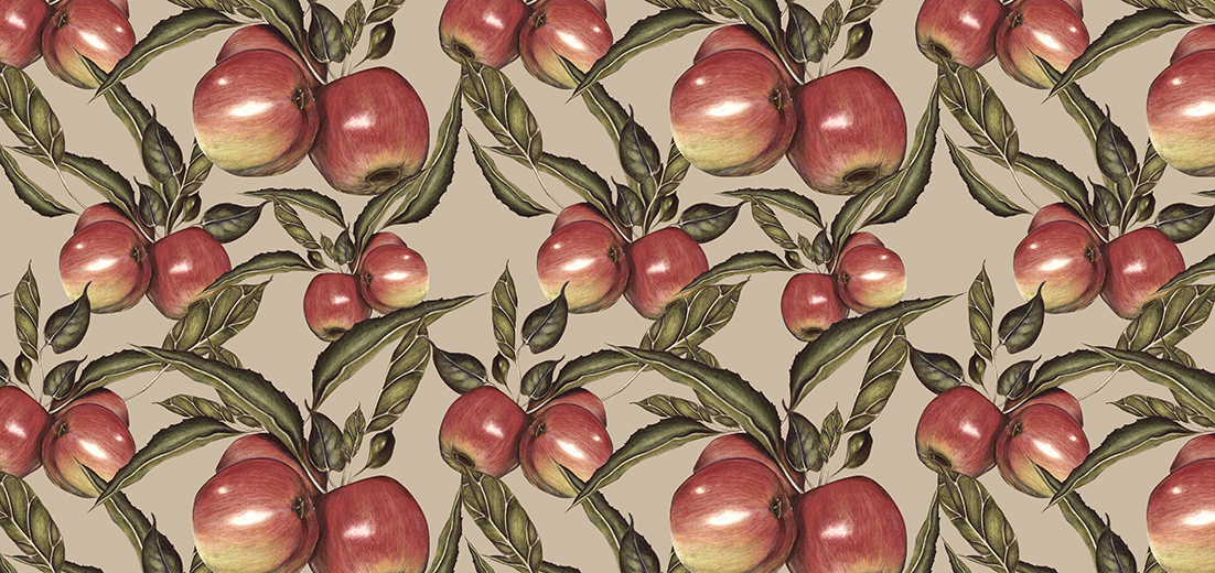 natural Fruit Surface Pattern lemons pomegrantes apples aubergine book design fold out Interior lebanon