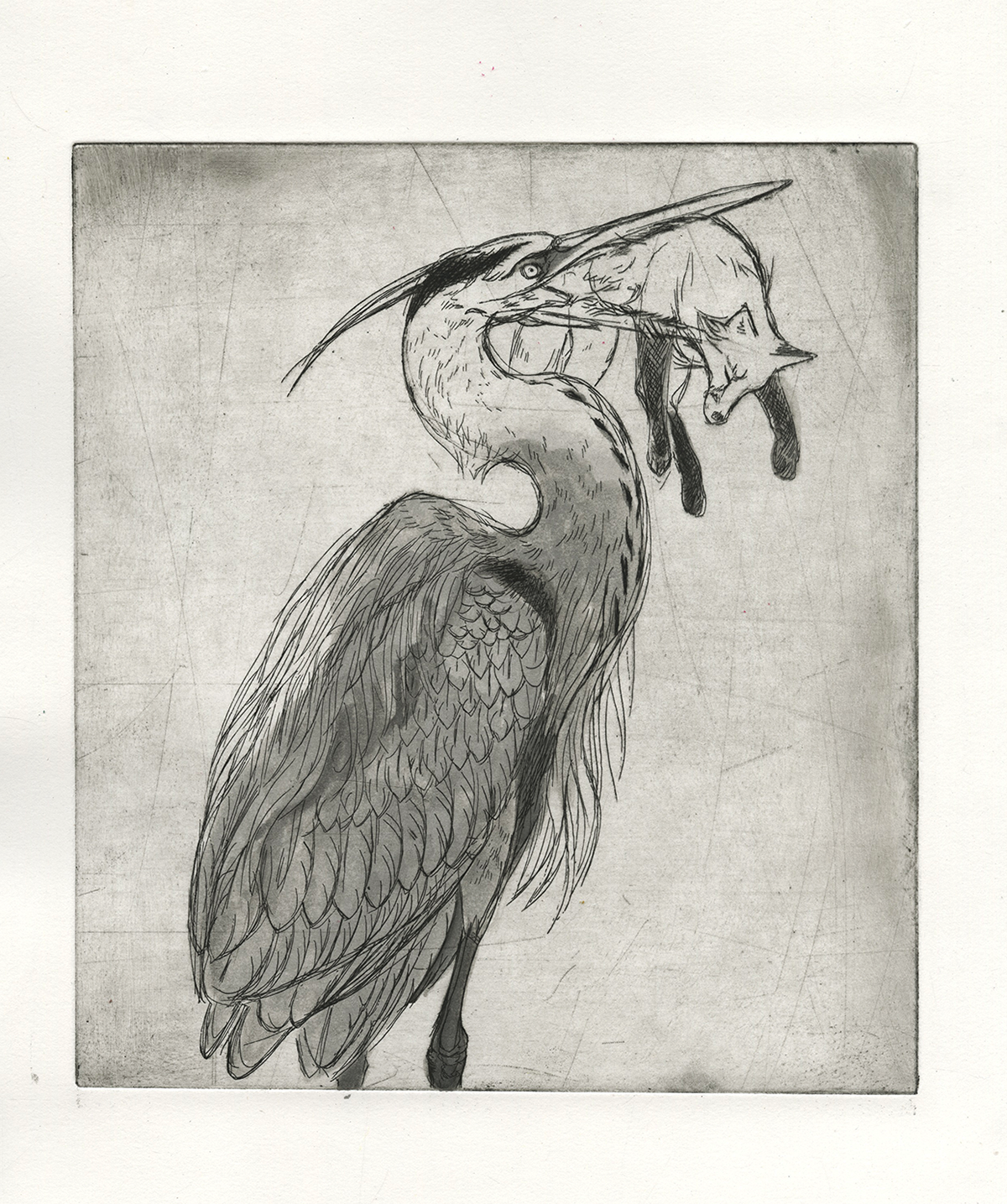 prints printmaking birds owls egrets chickens Patterns dramatic surreal deer