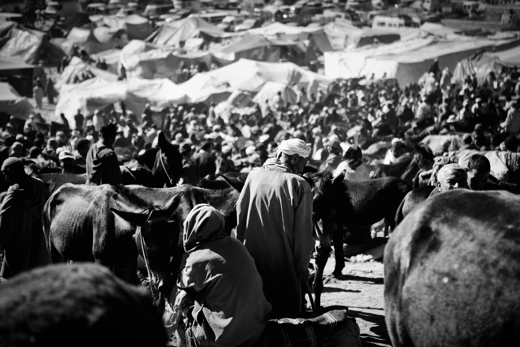 Documentary  Morocco atlas Imilchil Berber amazigh