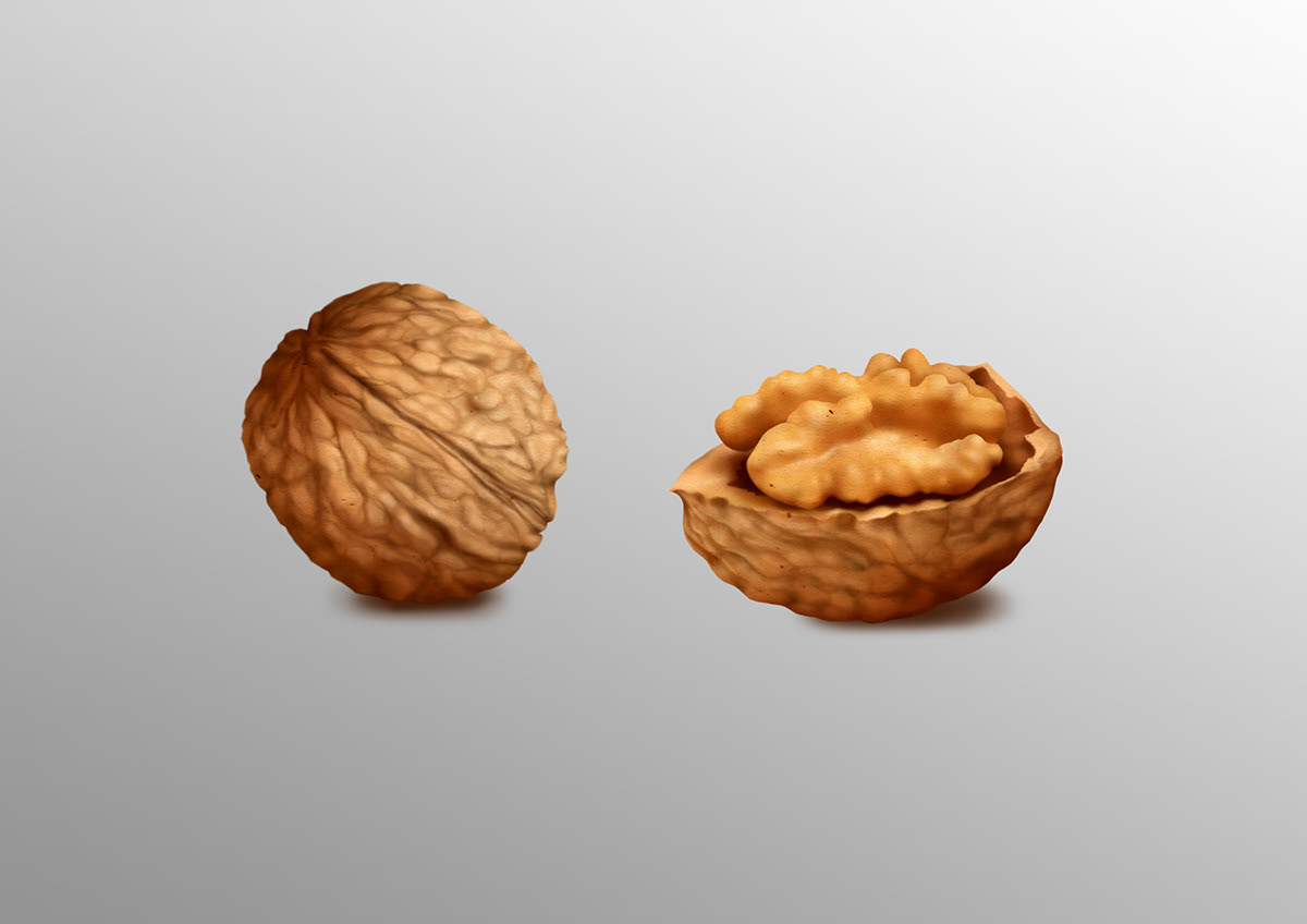 wallnut nut