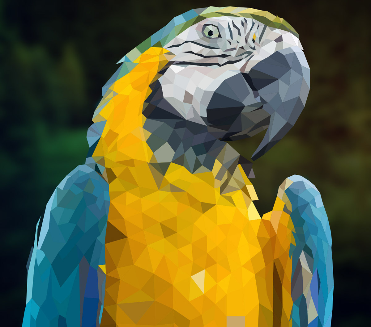 LOW poly lowpoly bird Garbeline vector macaw parrot