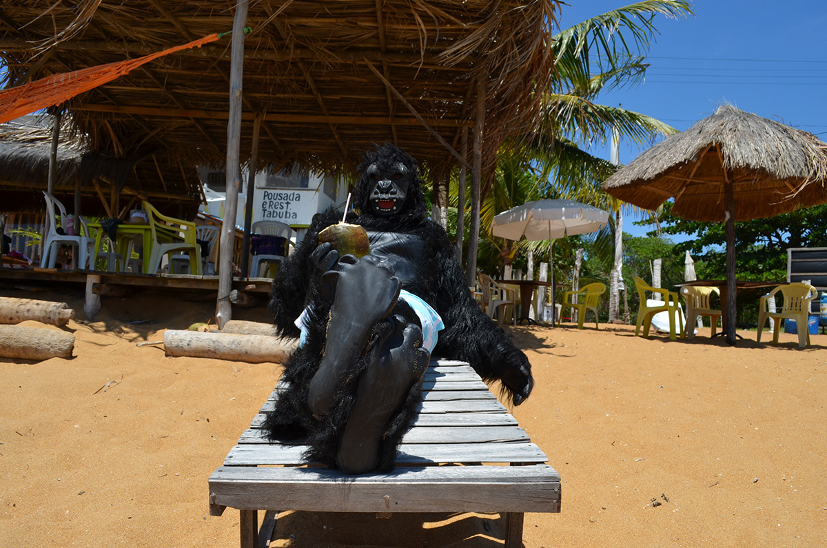 gorilla suit maceio brazil PERFORMING