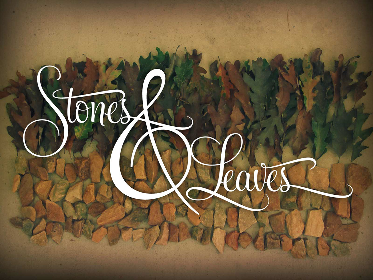 Nature leaves twigs stones acorns