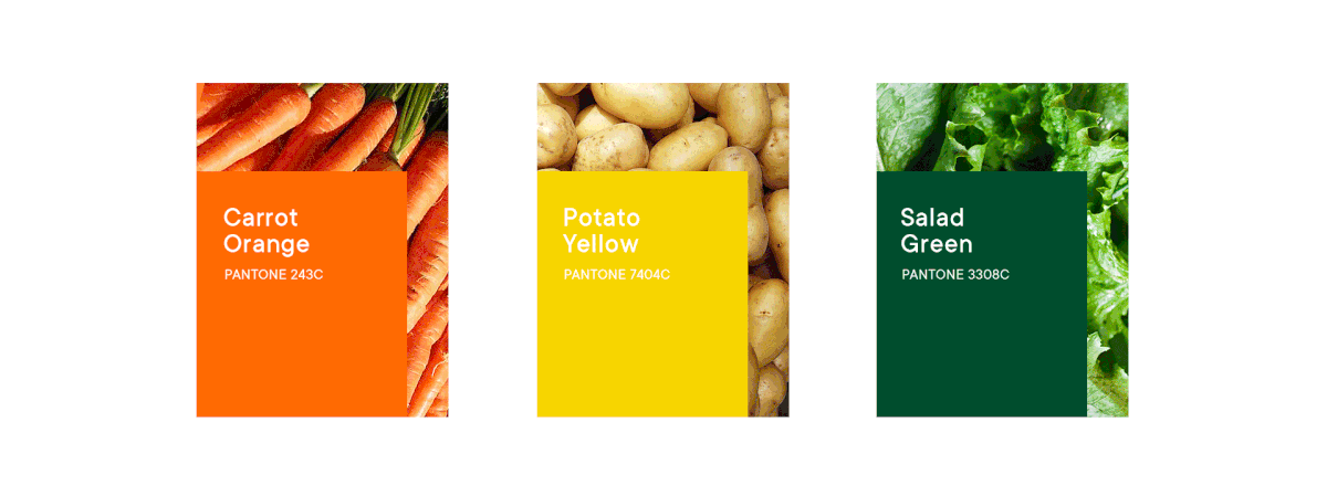 Packaging colors vegetables potato 3D Minimalism photo fresh Food  green