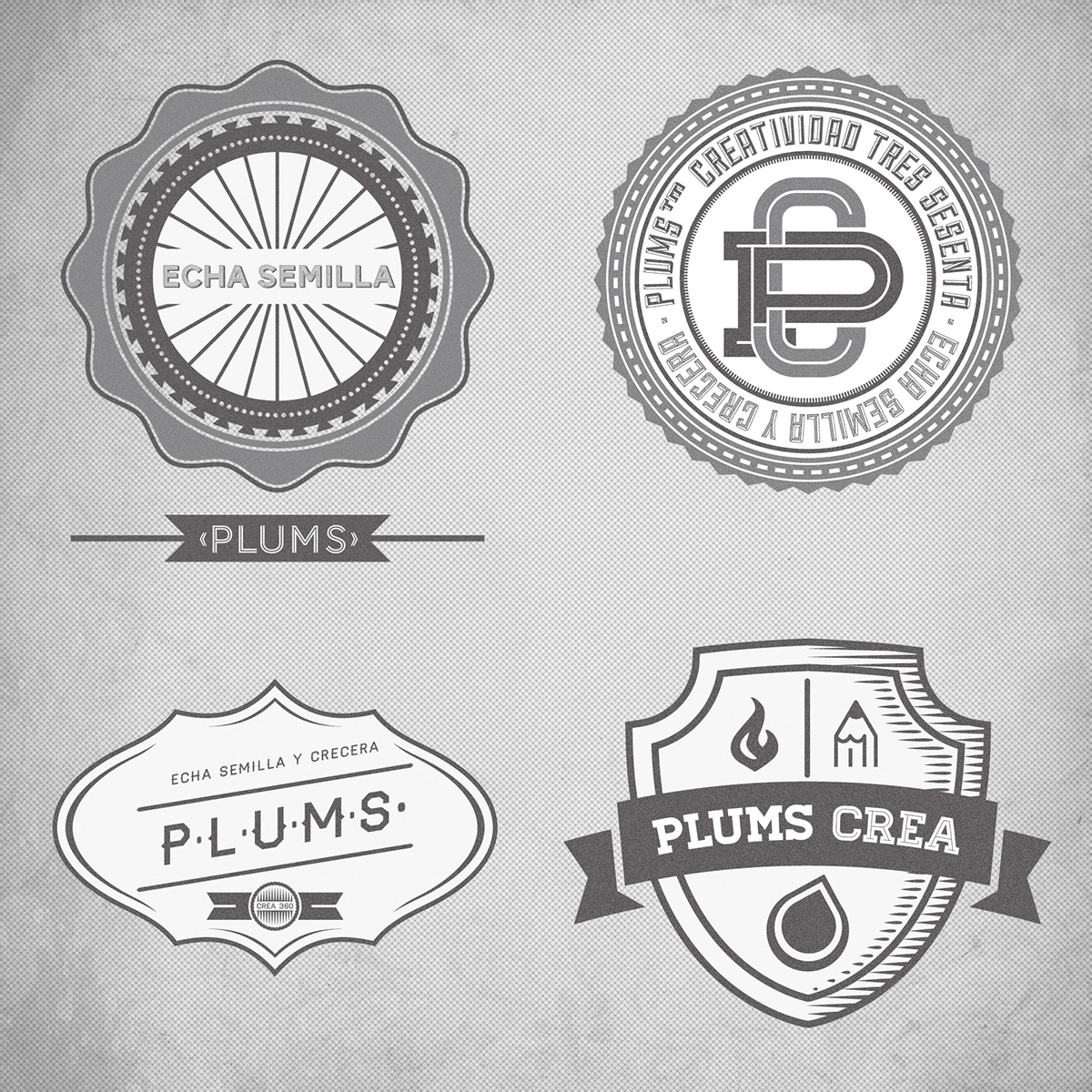 logo  logos  pattern  patterns plums identidad  identity brand  geometría crear  creer  crecer