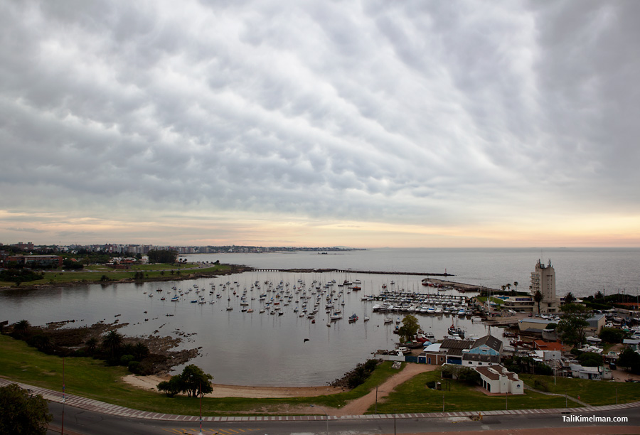 Landscape uruguay Montevideo harbor