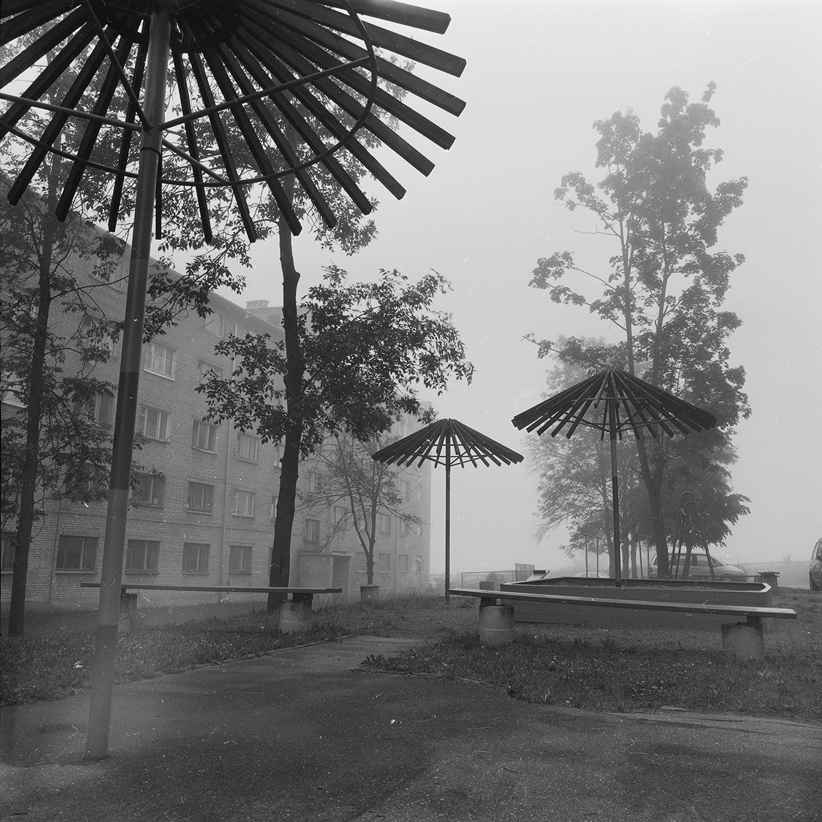 b&w bw black and white photo fog grain square 6x6 120mm 120 mm abstract atmosphere lens carl zeiss scan