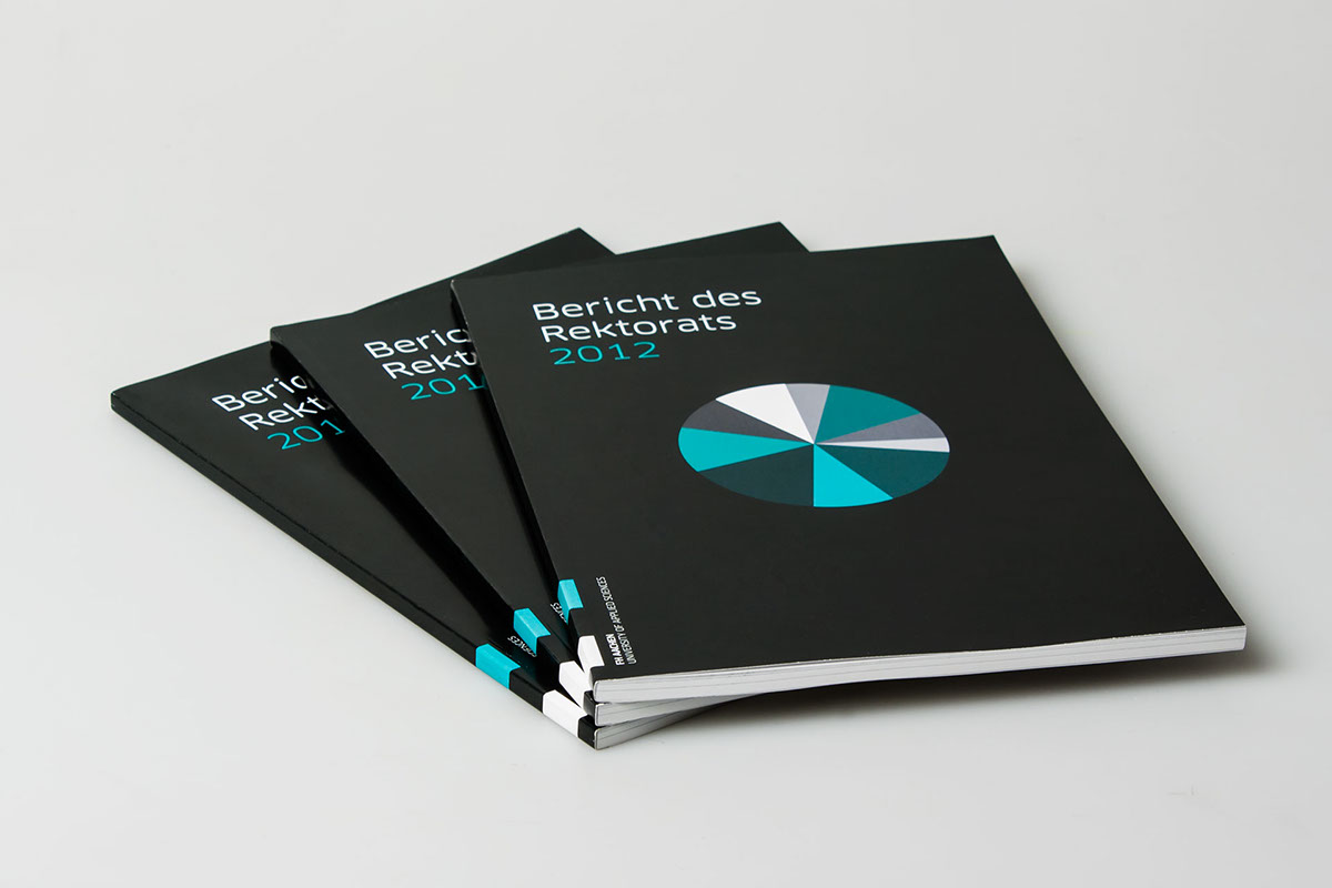 annual report infographics information design data visualization