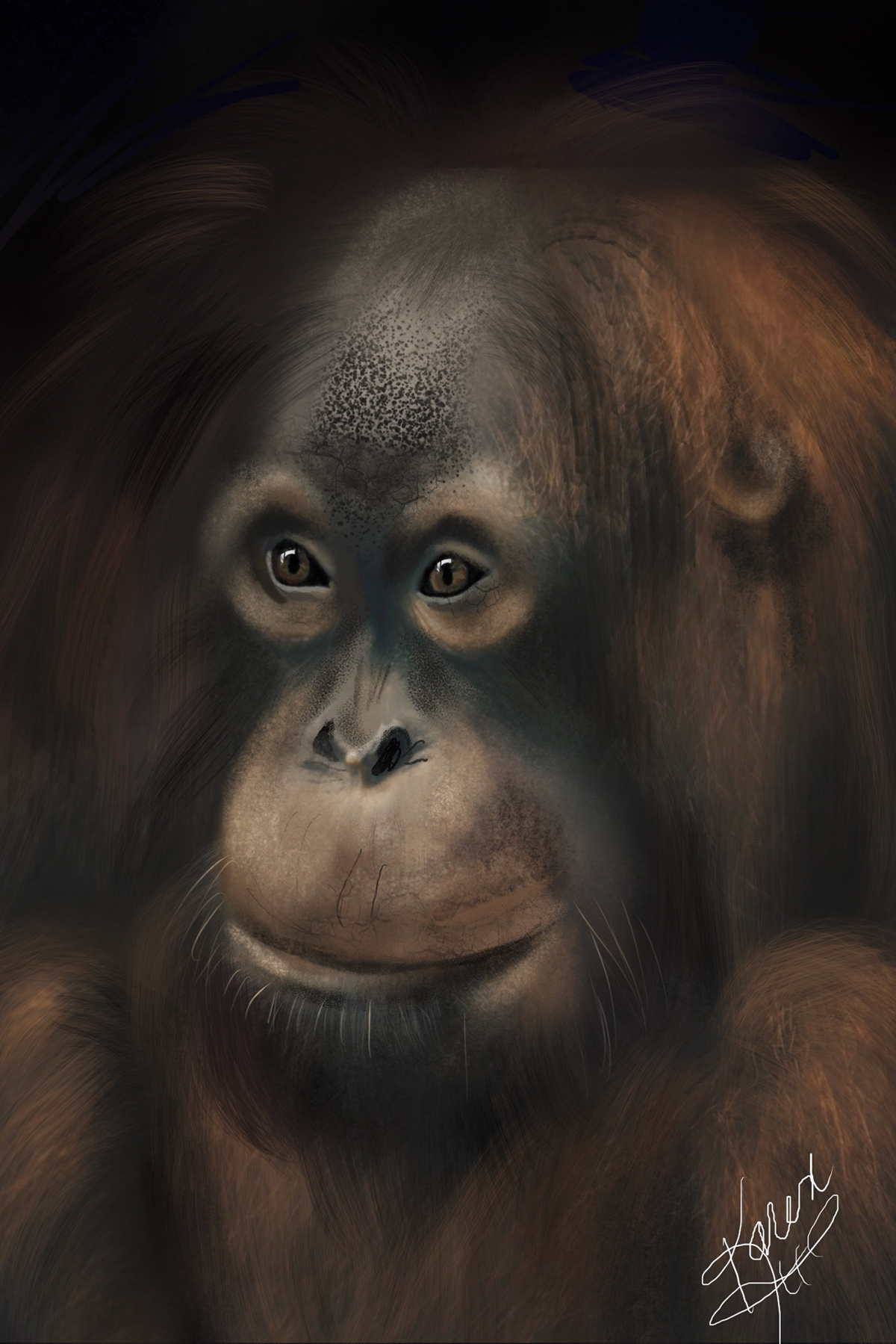 Digital Art  digital painting Drawing  illustrations animals primates chimpanzees