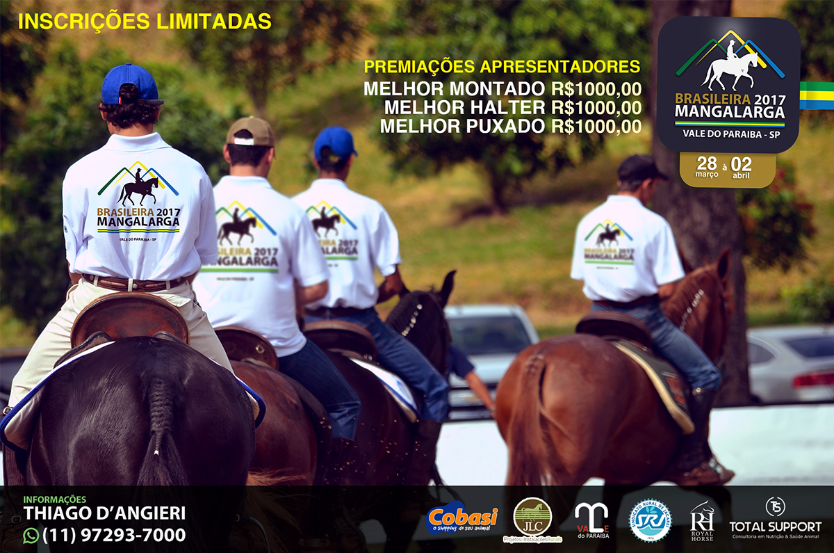 Fotografia Edição Fotografica cavalos poster magalarga horse