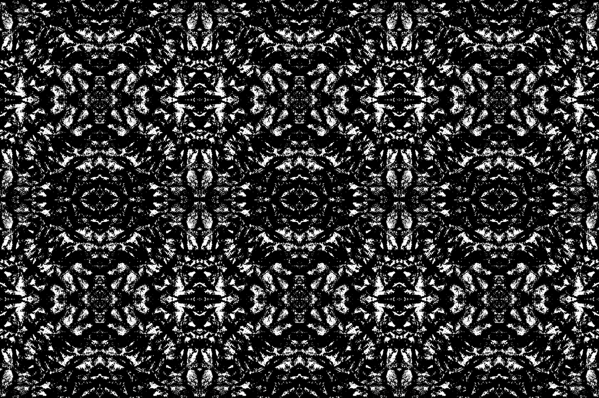 Drawing  painting   pattern design  geometric black and white chalk lace botanical Nature modern