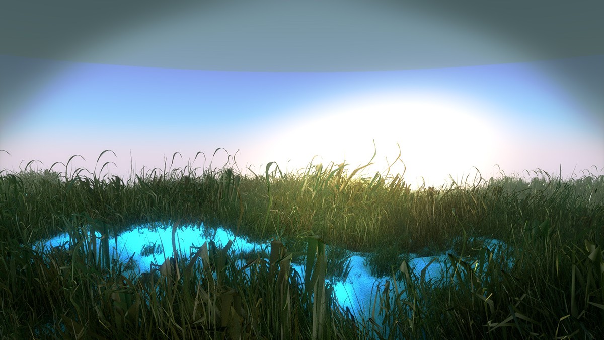 digital media smoke rendering 3D grass