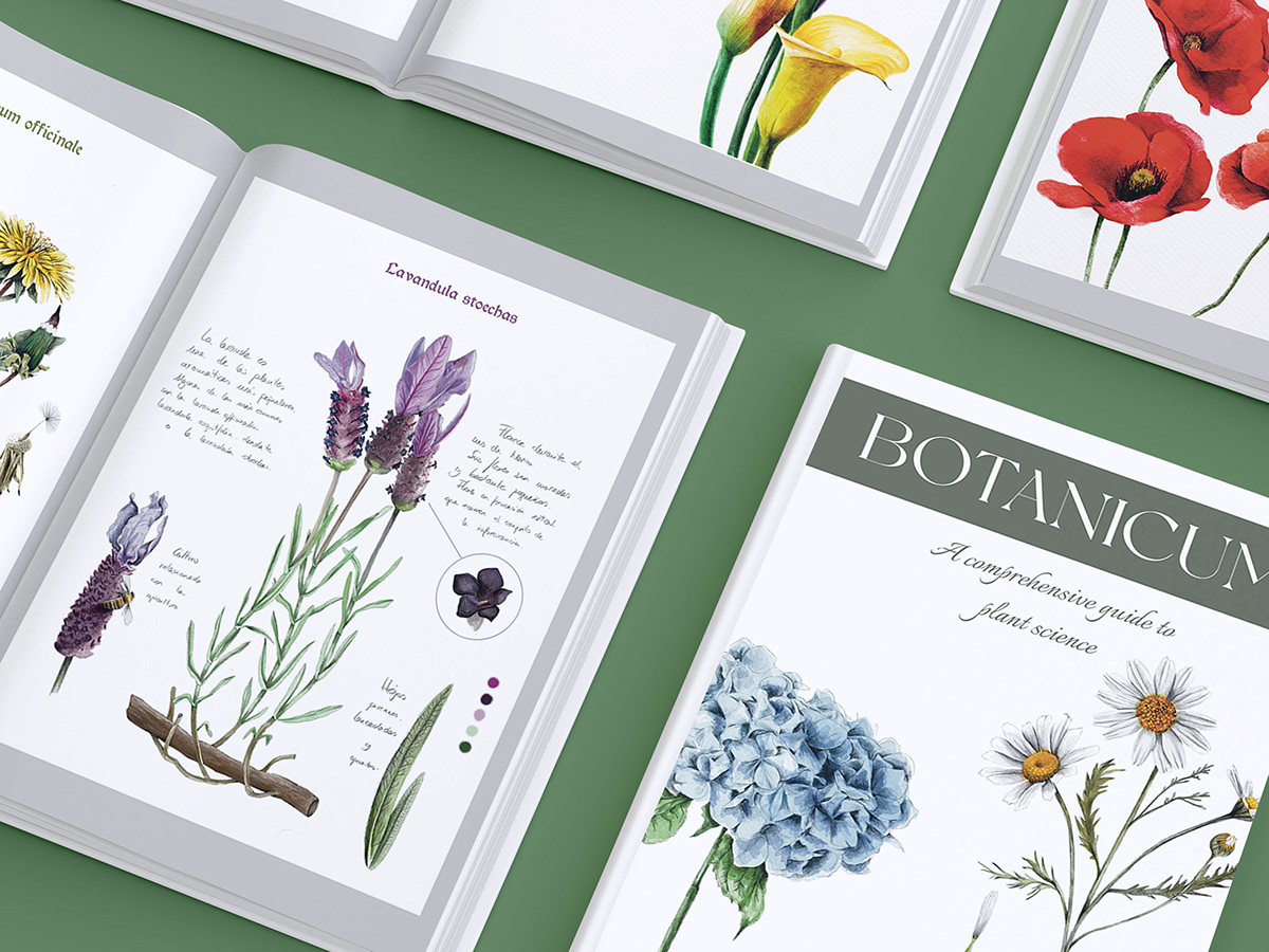 botanical botanical illustration Digital Art  artwork digital illustration Procreate ilustración botánica