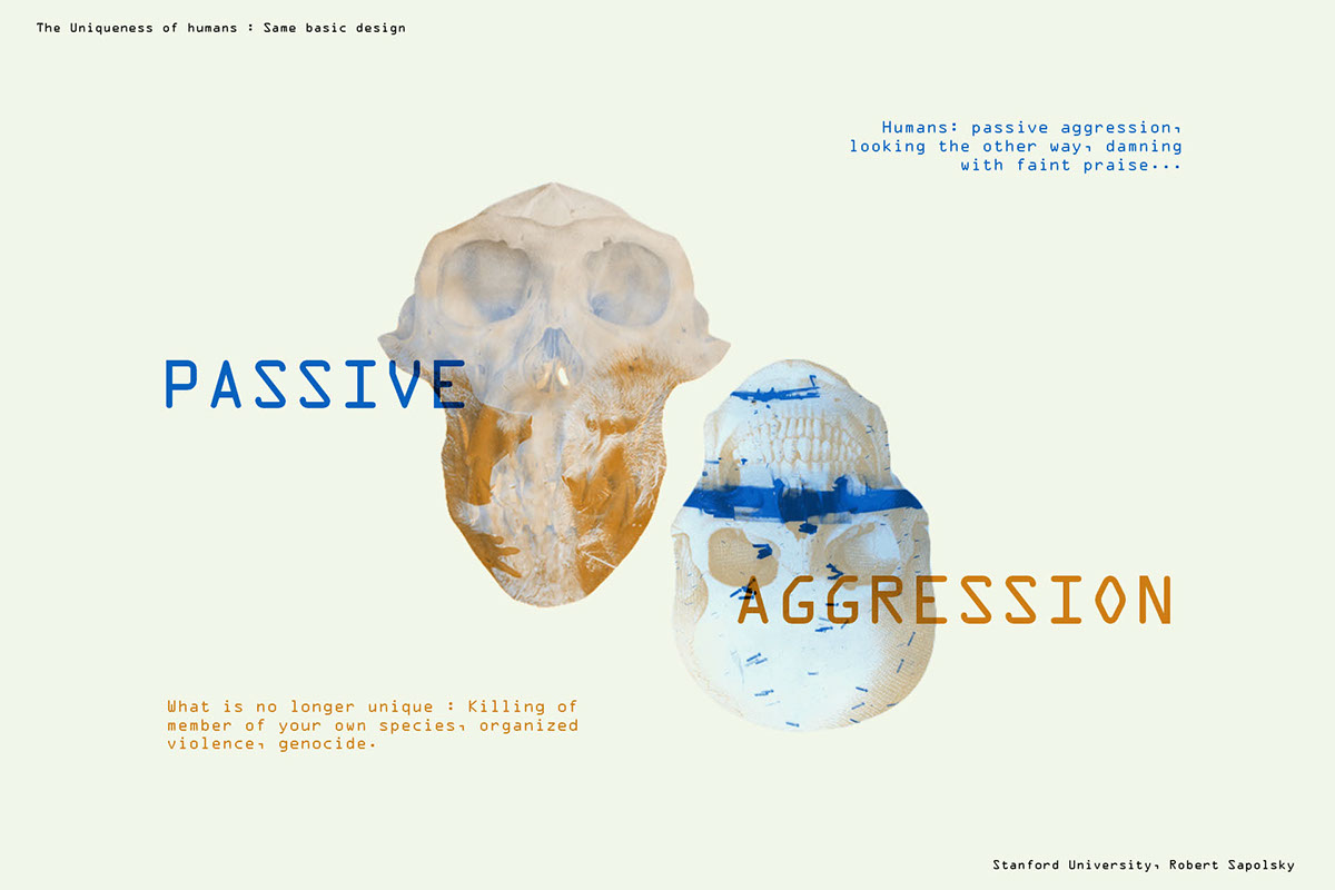 Adobe Portfolio the uniqueness of humans anatomy presentation slides poster animals sapolsky