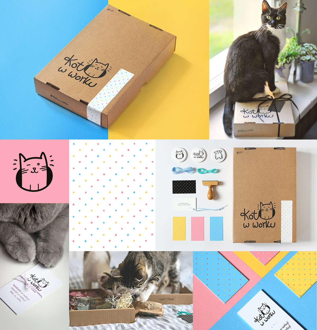 Cat box gift kot w worku dots pattern