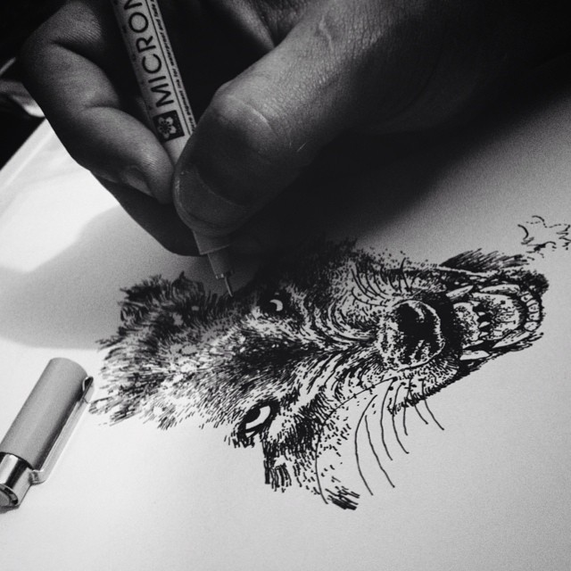 pen and ink micron skull Time Lapse