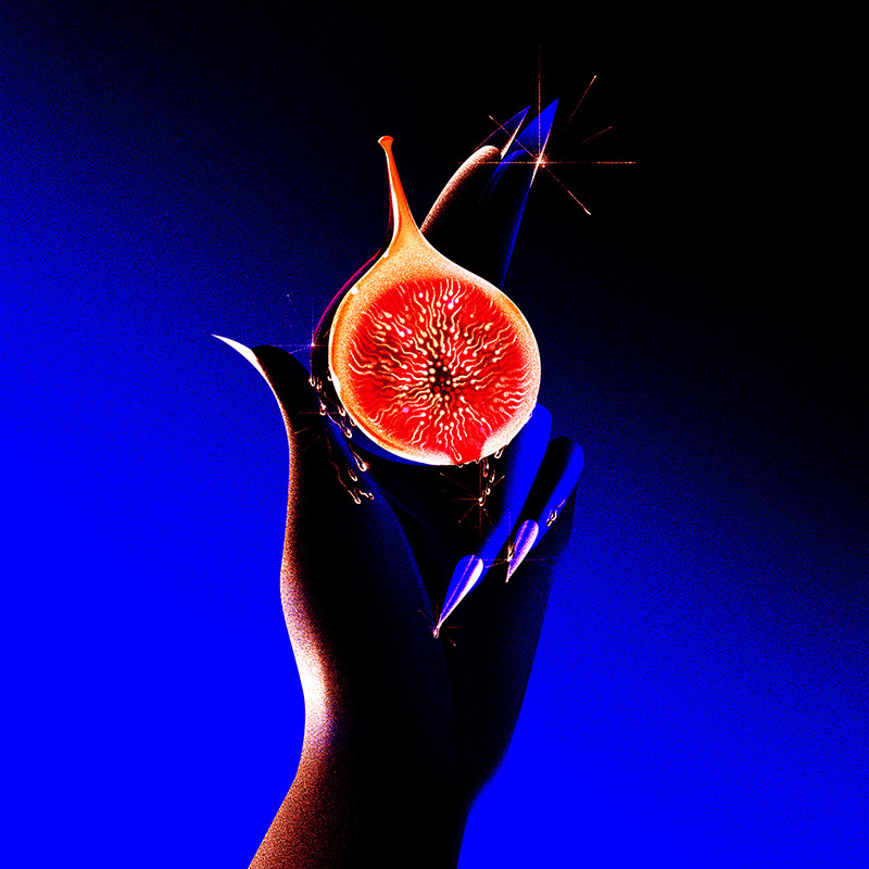 Fruit hand ILLUSTRATION  nocturnal sexy contemporary dark art graphic design  handmade minimal