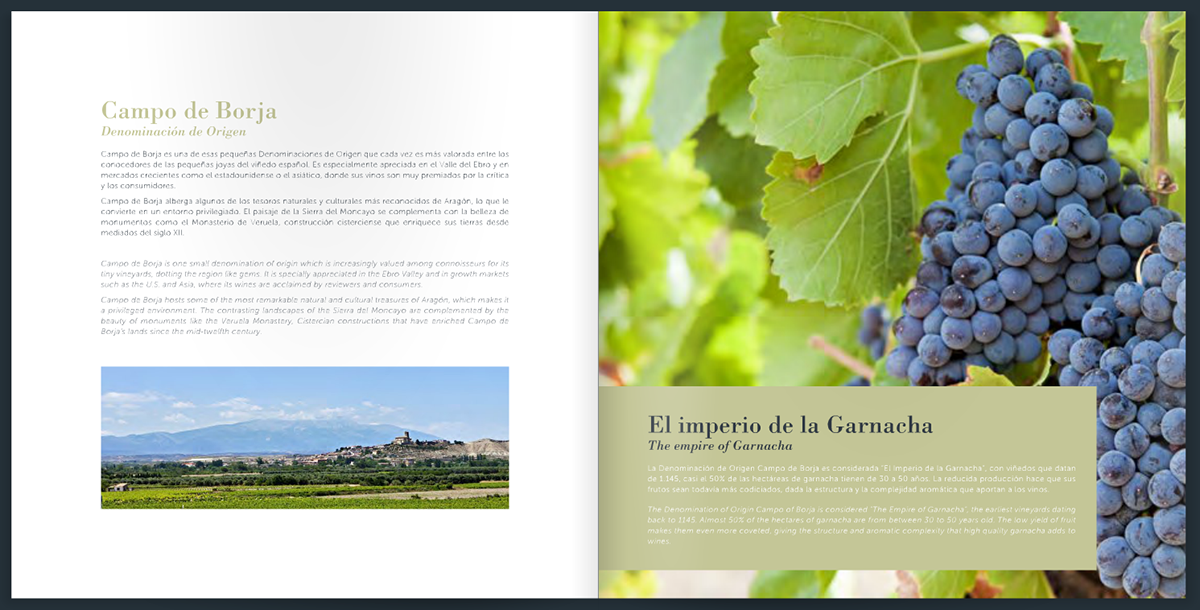 Pagos del Moncayo bodega winery brochure folleto catalogo AXIAL VINOS campo de borja spanish wines vino wine