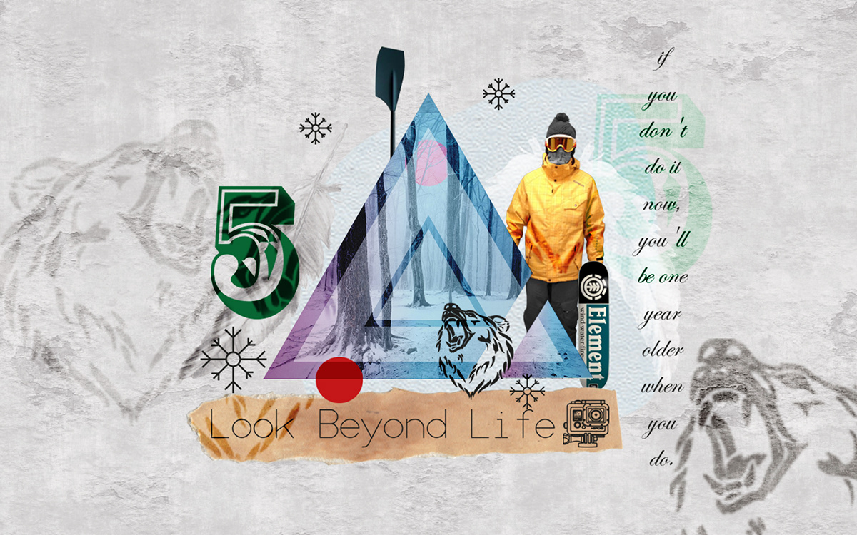 collage Illustrator photoshop skiing bear Grizzly Bear triangle japan snow gopro