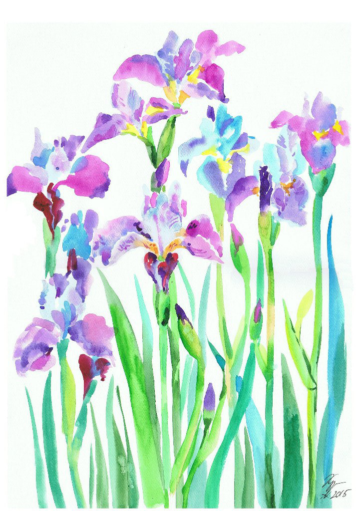 Flowers painting   tempera watercolour