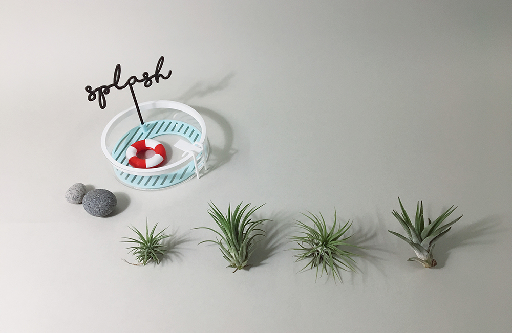 3dprinting plants airplants DIY Neverland Swimmingpool summer design 식물 식물키트