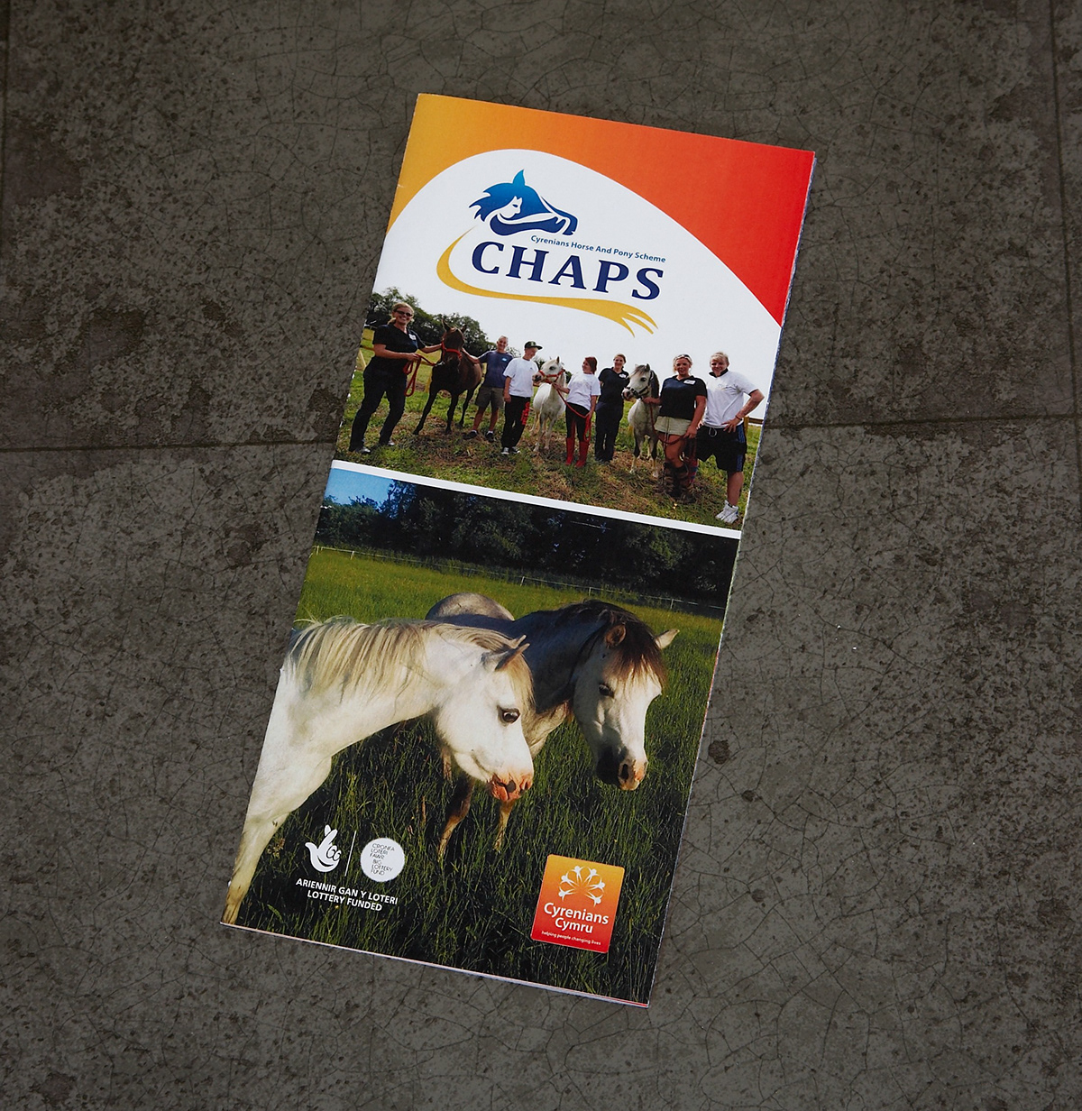 charity flyers Mini Leaflets tri-folds C-folds Project