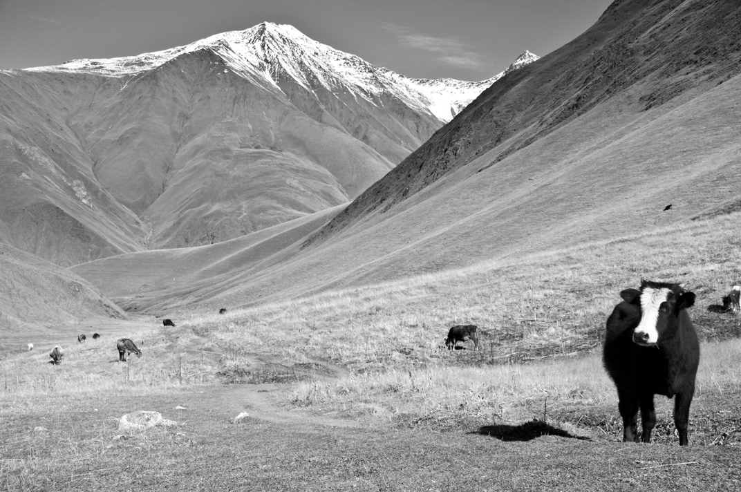 Georgie Caucase Kasbégui Grand Caucase Sno Djouta Route militaire voyage photojournalisme