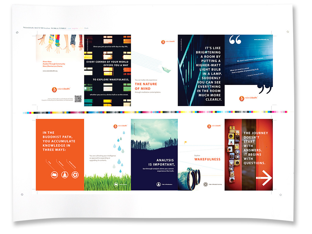 Adobe Portfolio web site brochure postcard infographic
