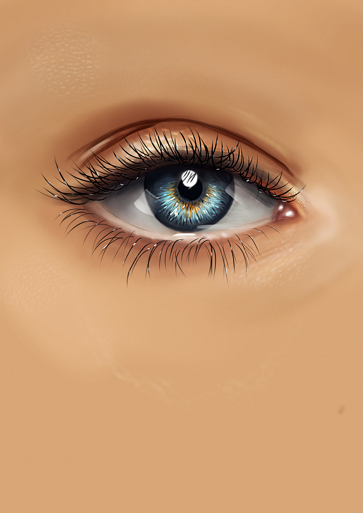 eye see tutorial study look colors sight