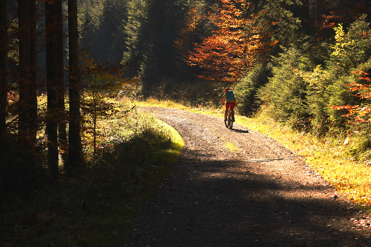 autumn gold Bicycle enduro beskydy trails Magic   Nature
