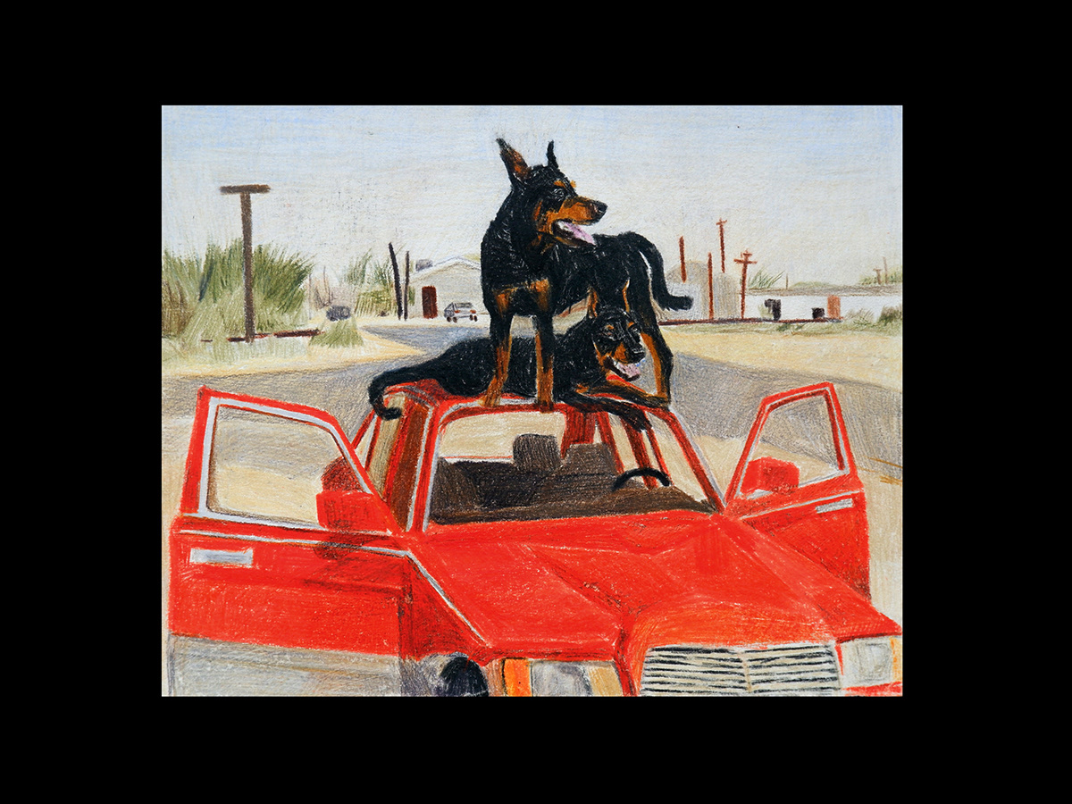 animals doberman dog gas station girl jaguar lake pencil ILLUSTRATION  visual art