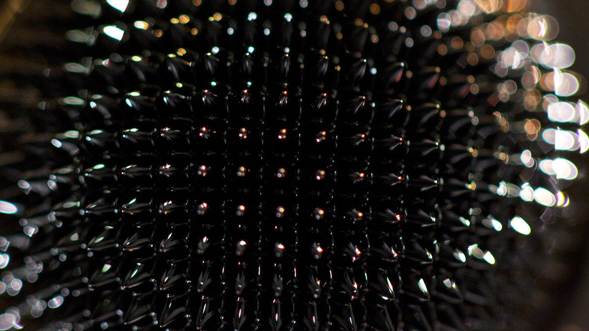 experimental ferrofluid Marcolens