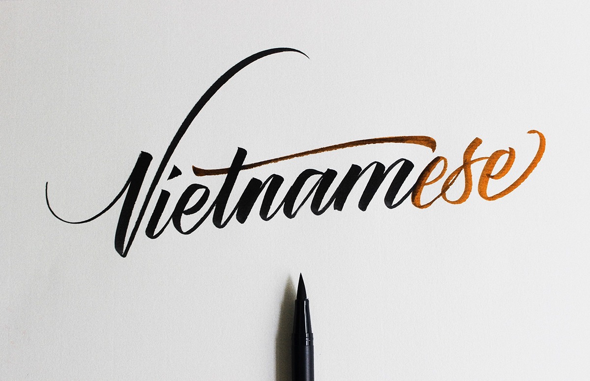 typography   Calligraphy   pen