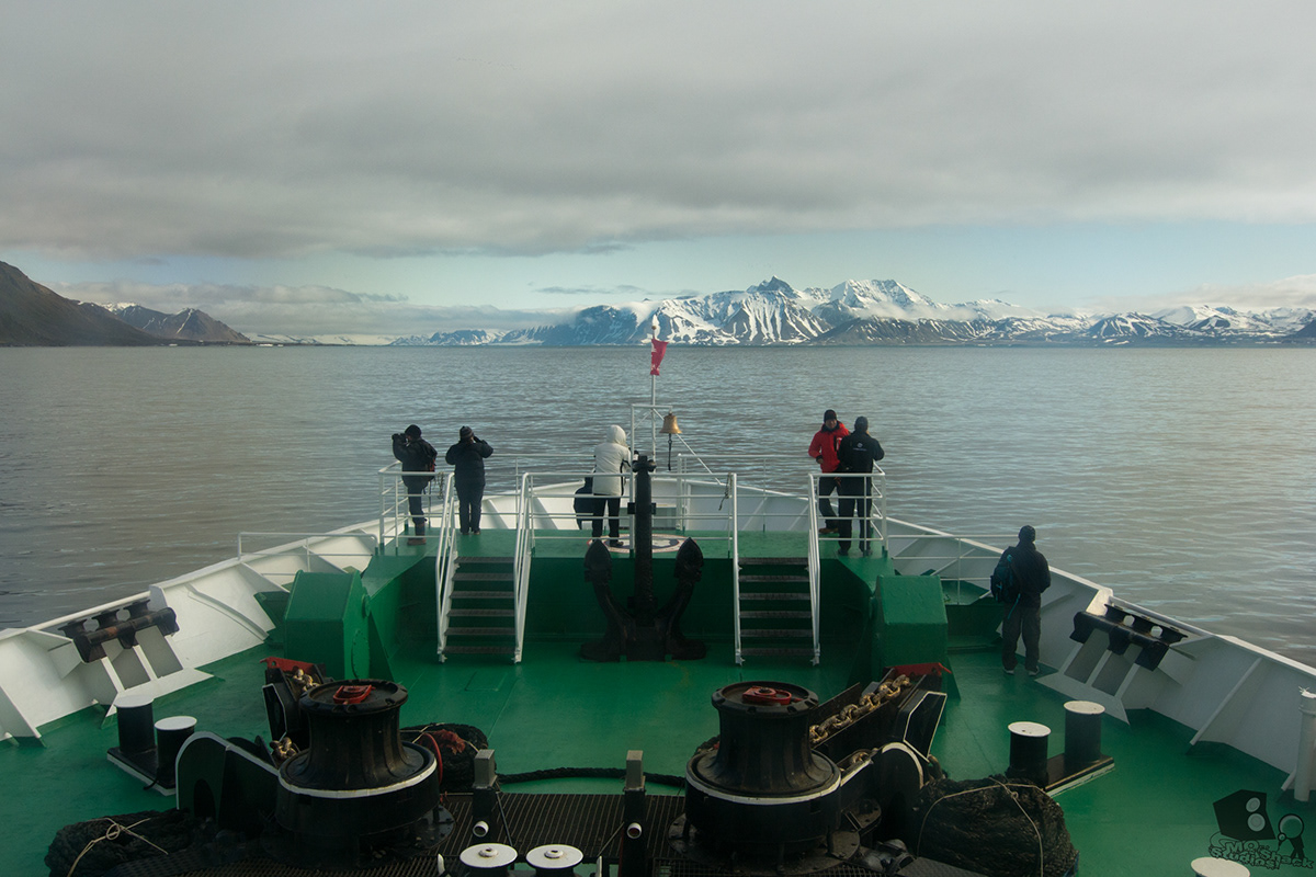 Svalbard North Pole snow wildlife