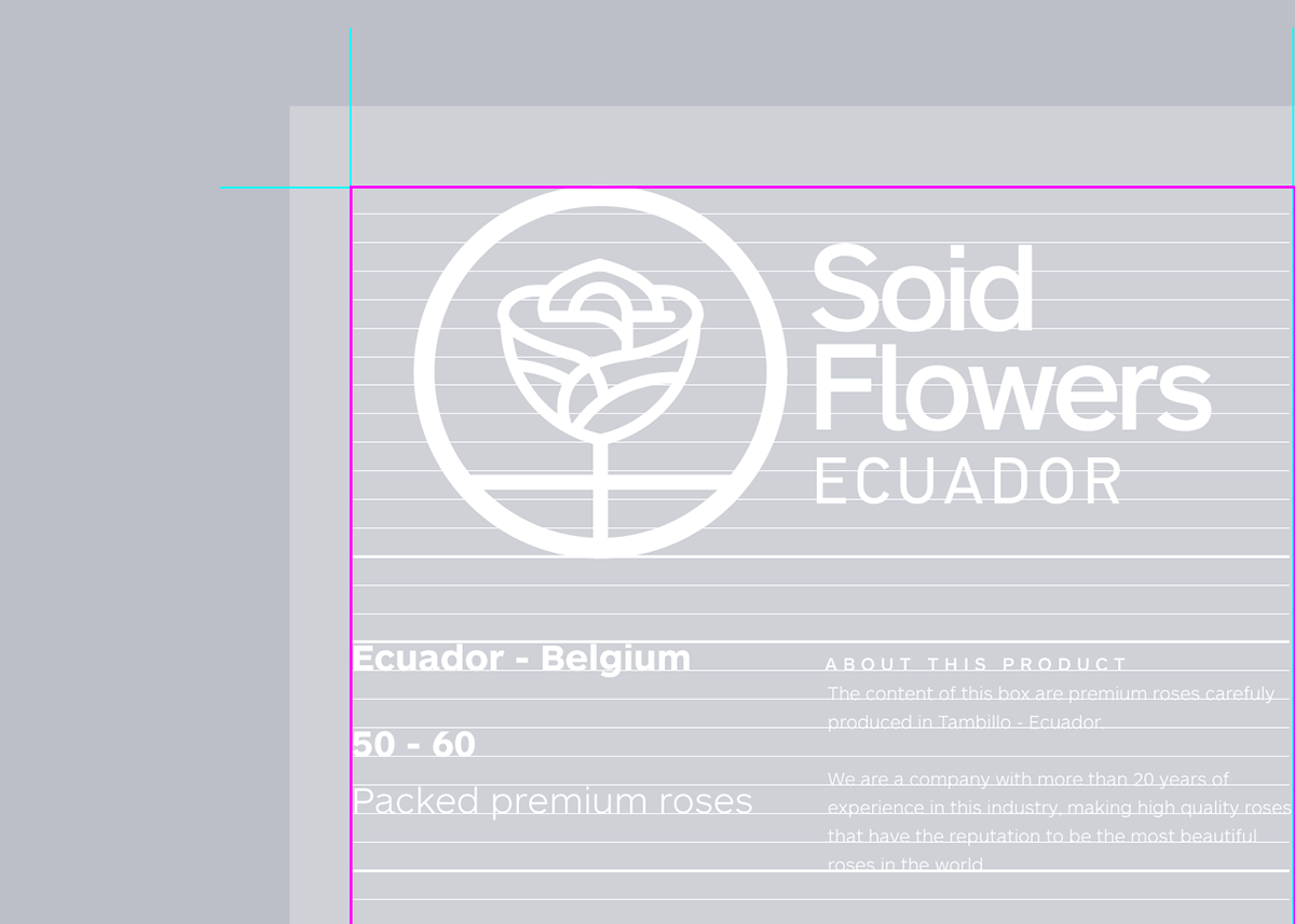 Roses industry Ecuador Flowers Rosas floricola industrial empaque