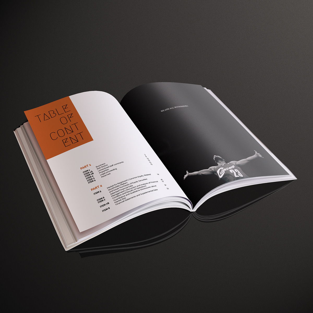 annual report graphics Data Nike Layout
